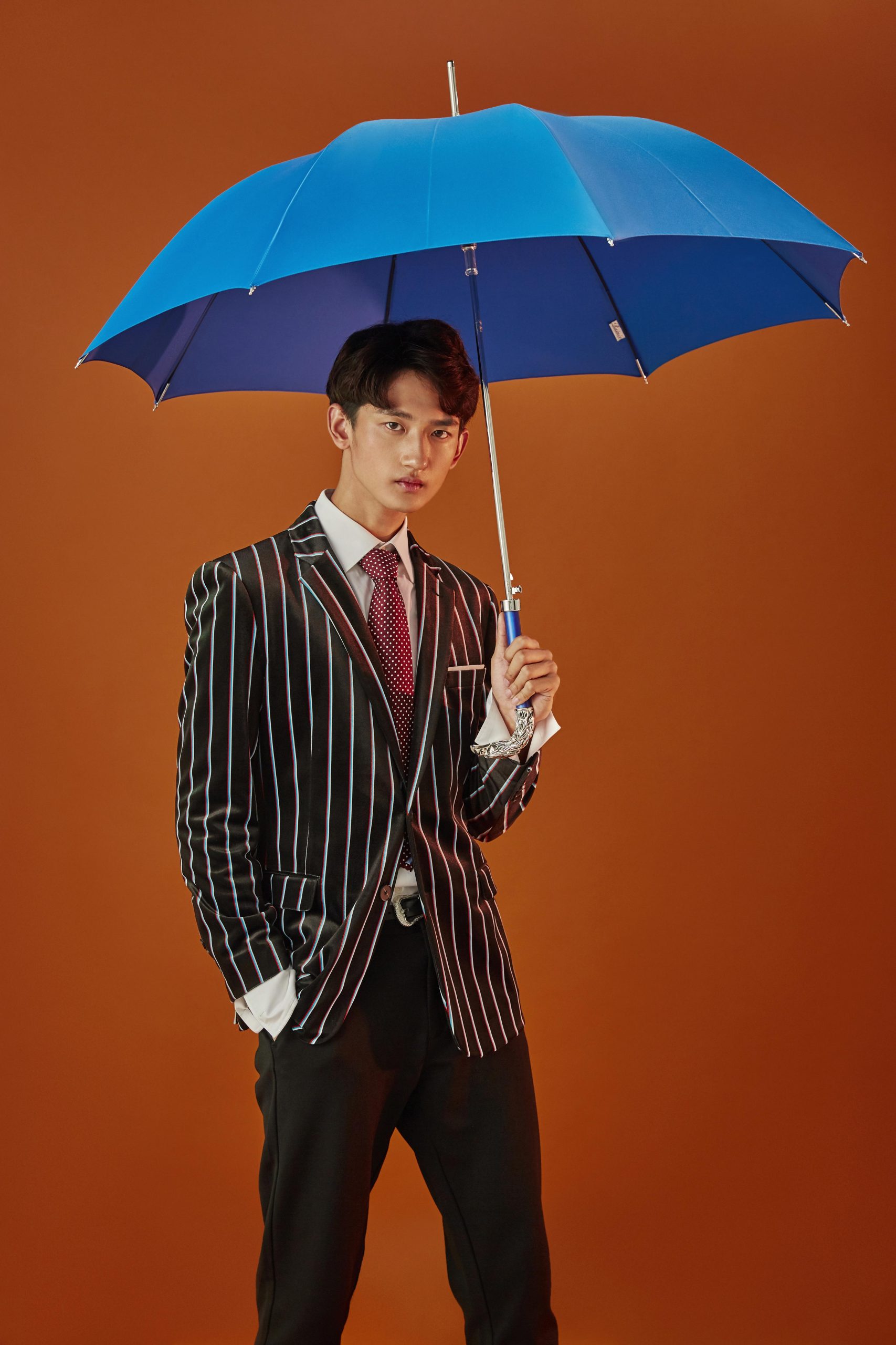 The silver eagle umbrella|Umbrella Manufacturers & Suppliers - Image 4