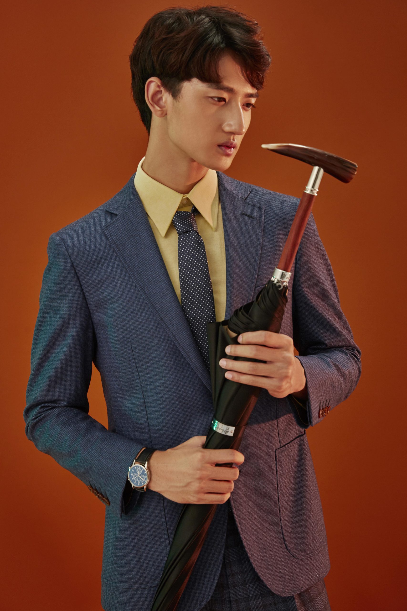 Ox horn straight umbrella|Umbrella Manufacturers & Suppliers - Image 3