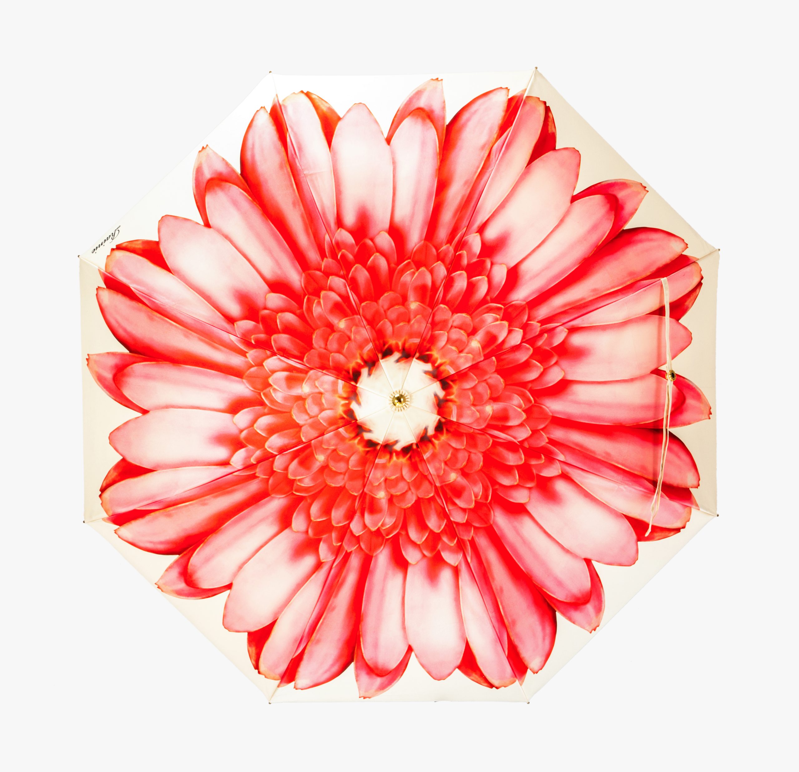 Flamingo red daisy folding umbrella|Umbrella Manufacturers & Suppliers - Image 4