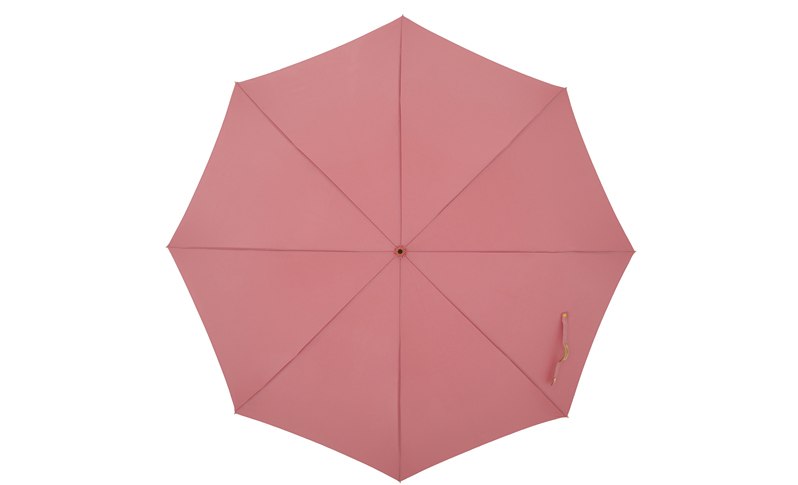 Phoenix straight shank metal umbrella|Umbrella Manufacturers & Suppliers - Image 2