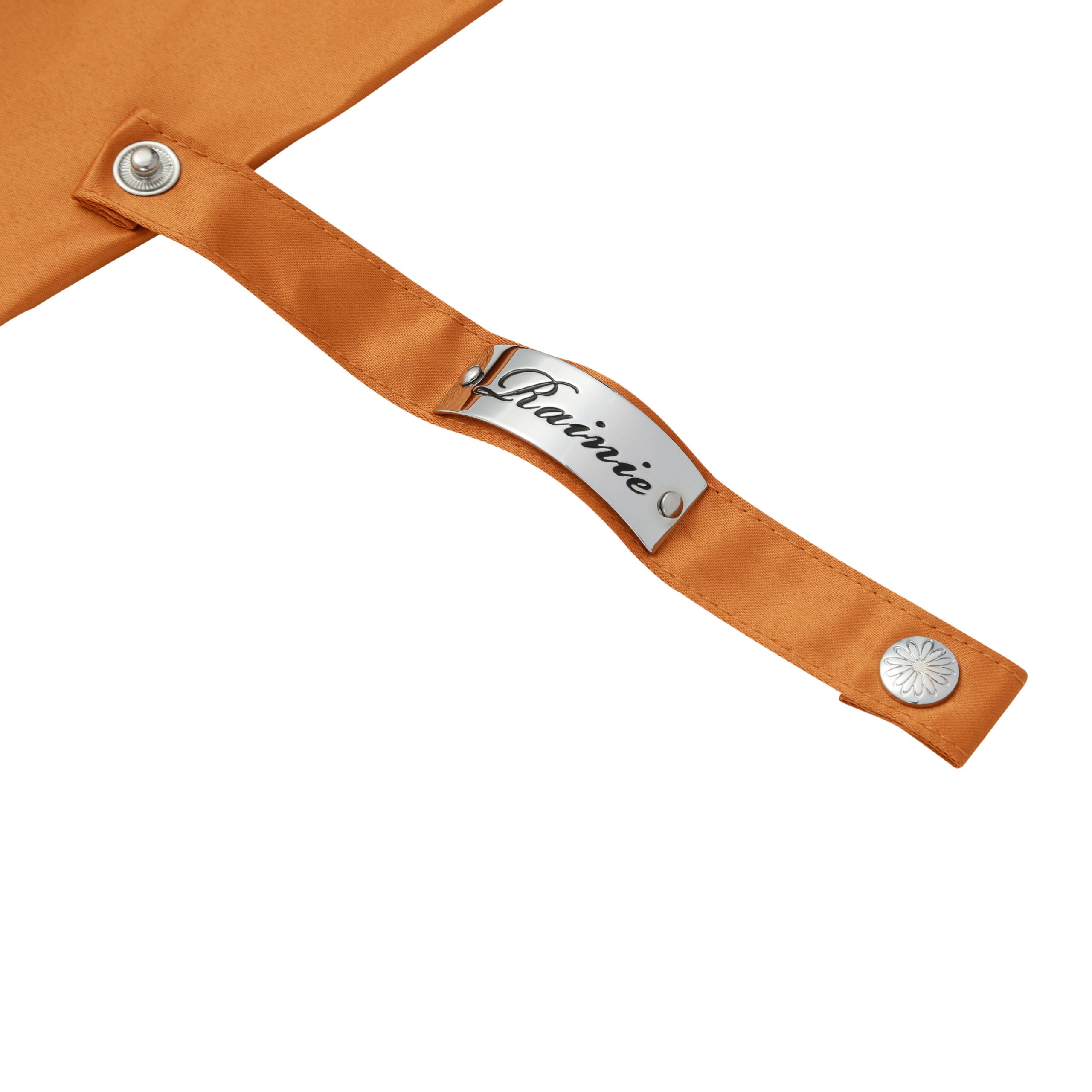 The seahorse umbrella|Umbrella Manufacturers & Suppliers - Image 4