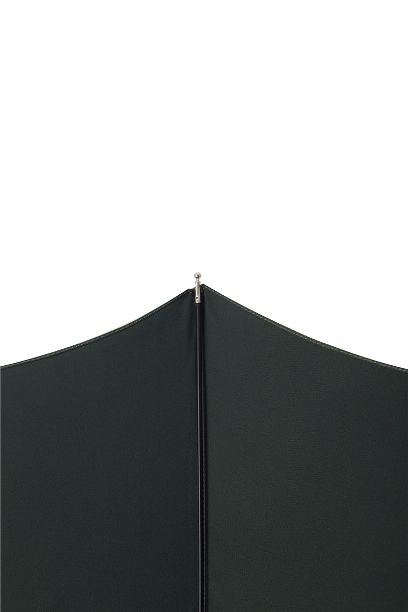 Two-fold mountain eagle folding umbrella|Umbrella Manufacturers & Suppliers - Image 4