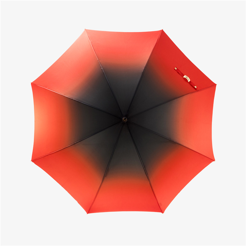 The parrot straight umbrella|Umbrella Manufacturers & Suppliers - Image 4