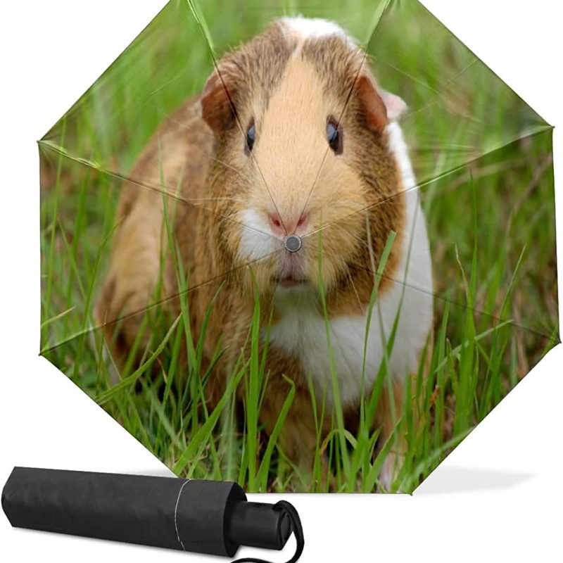Small Folding Umbrella Guinea Pig Cavy Pet Guinea Rodent Windproof Compact Travel Umbrella Mini Vinyl Auto Open/Close Um