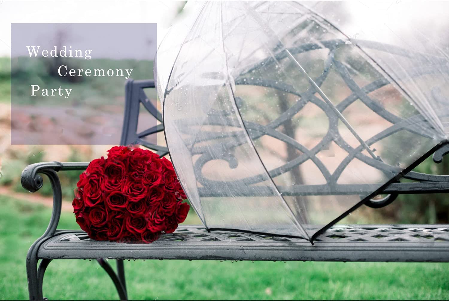 Custom Wedding Umbrellas Women’s Clear Bubble Transparent Umbrella-Auto Open Cle - Image 6