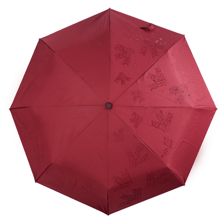 import placeholder for 99533