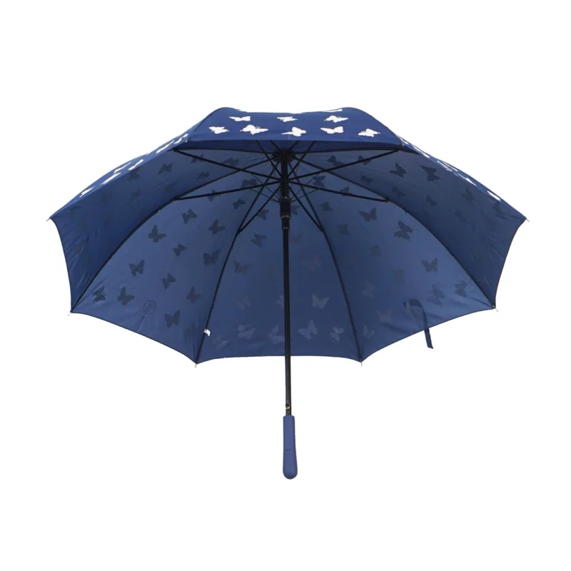 import placeholder for 99779