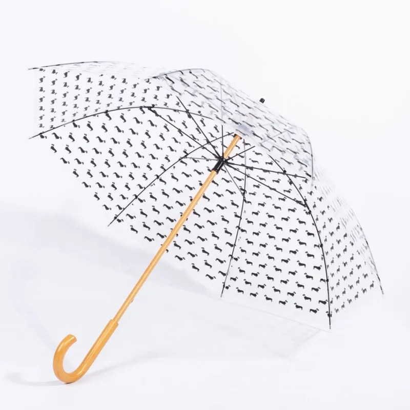 import placeholder for 100036