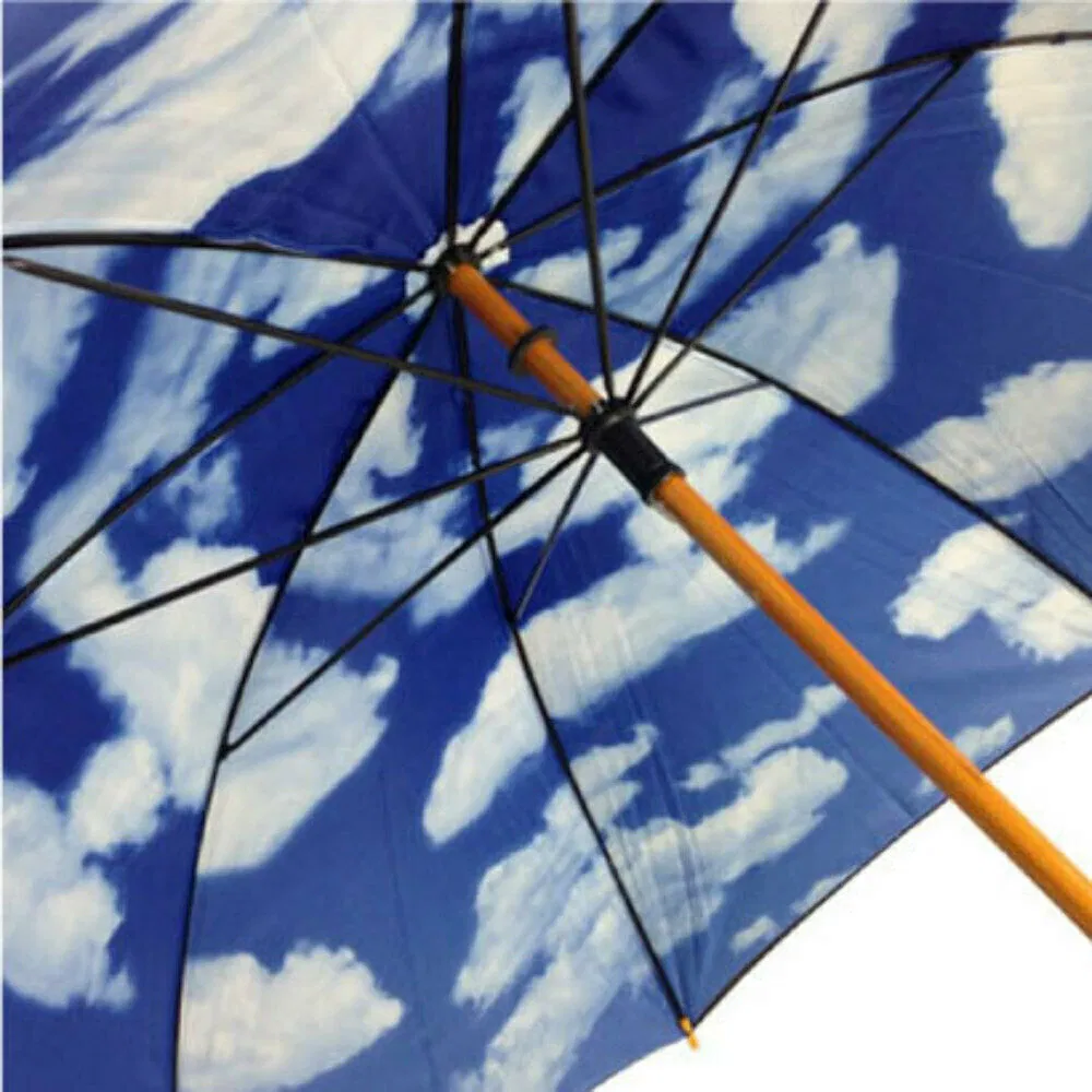 custom double layer wooden umbrella with sky printing
